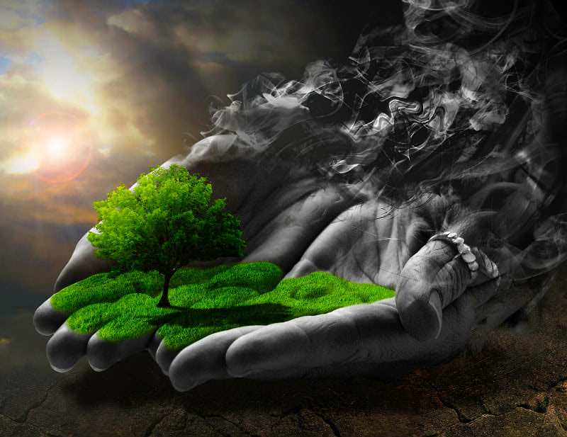 Прогнозы и предсказания 21 декабря