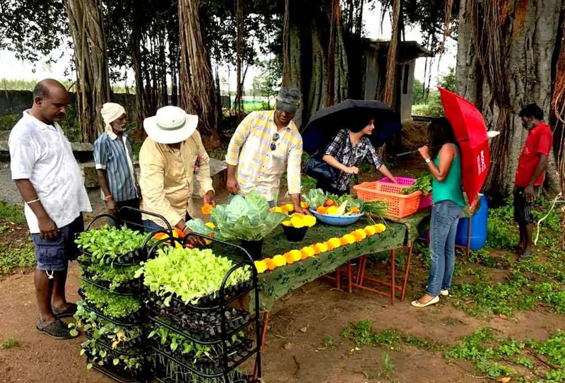 Каста вайшьев
