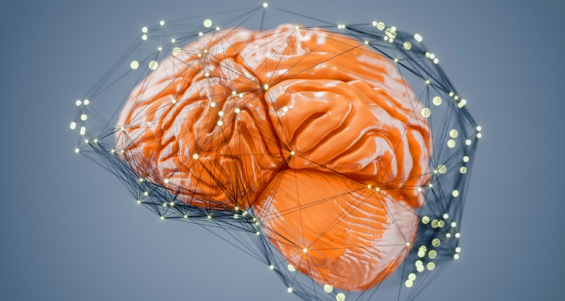 Асмр и мозг