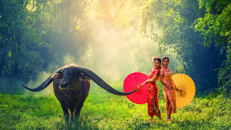 Астрология гороскоп