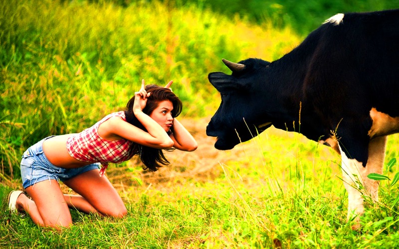 Астрология первого полугодия