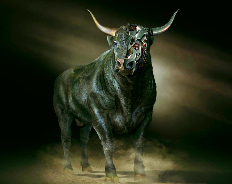 Астрология год быка