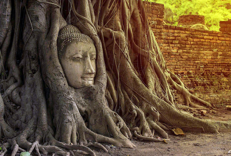 Аюттхая, лицо Будды