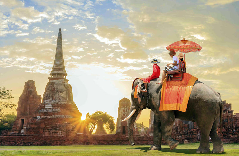 Аюттхая — деревня слонов