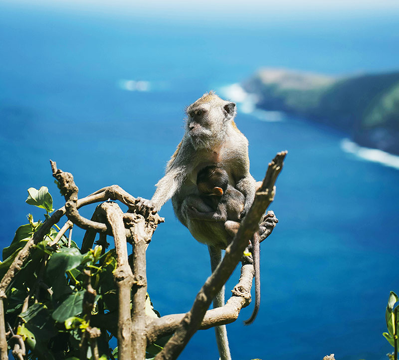 Как отдохнуть на Бали