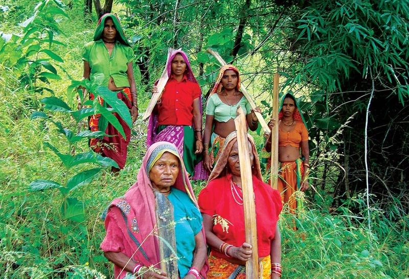 Бхилы — лесной народ