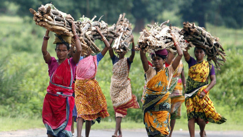 Жизнь индоарийского племени бхилы