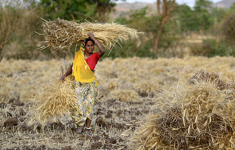 Работа женщин народности бхил