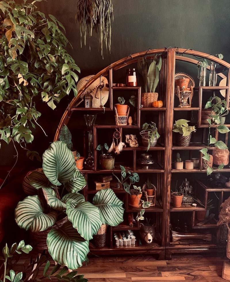 Растения в бохо-интерьере