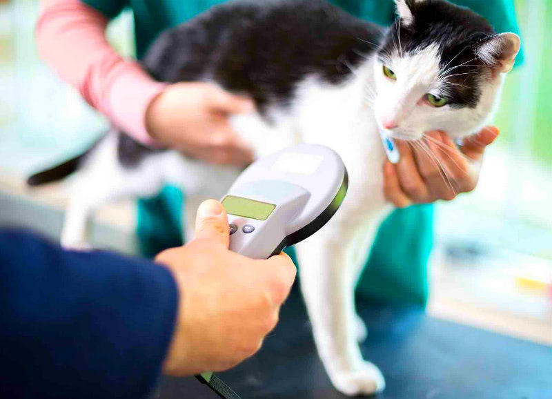 Чипирование - вред или польза