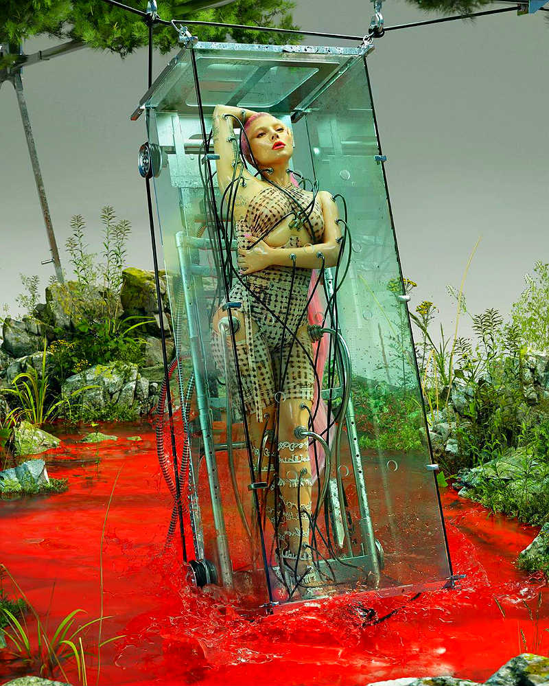 Чипирование в России и в мире