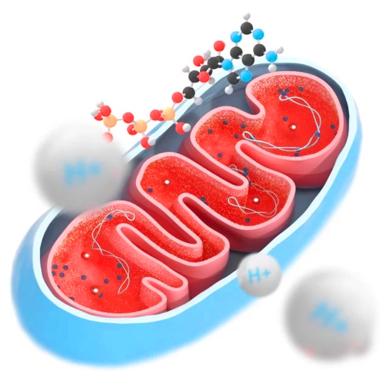 Вода показатели