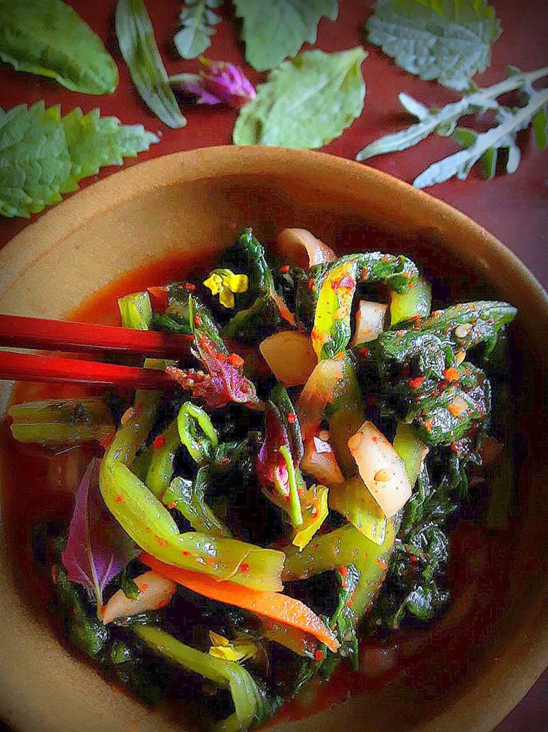 Дикая весенняя зелень в гарнирах