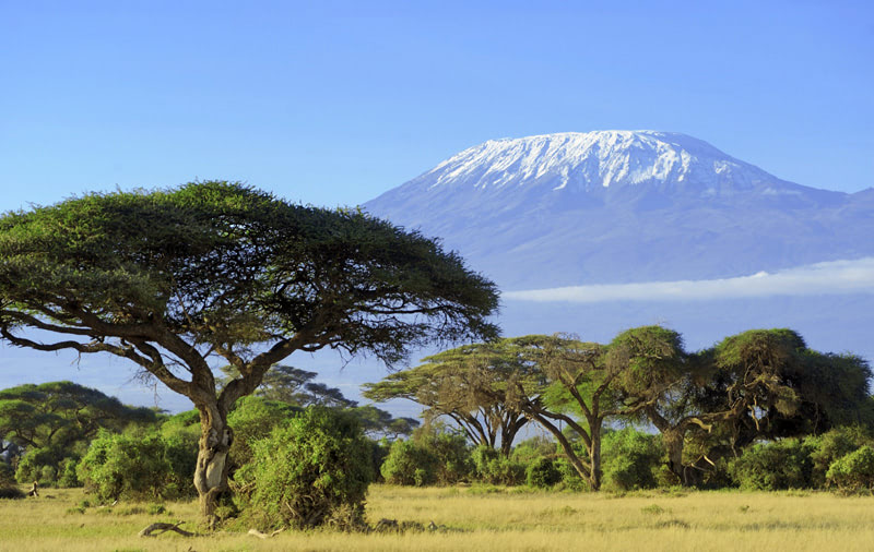 Экстремальное восхождение на на Килиманджаро