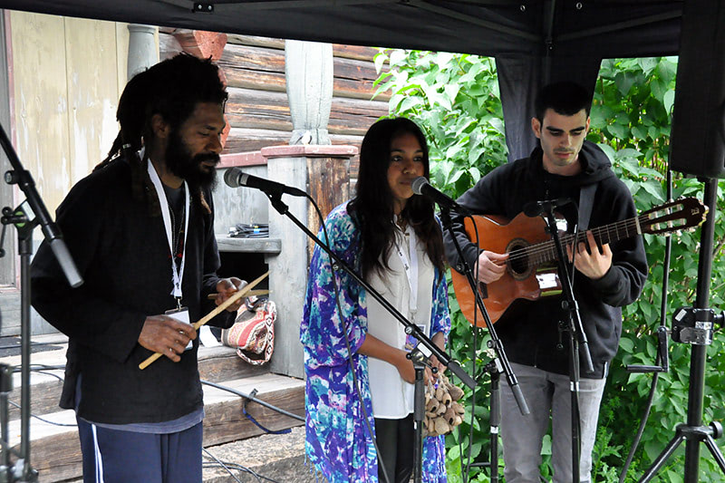 Этнические инструменты Индии