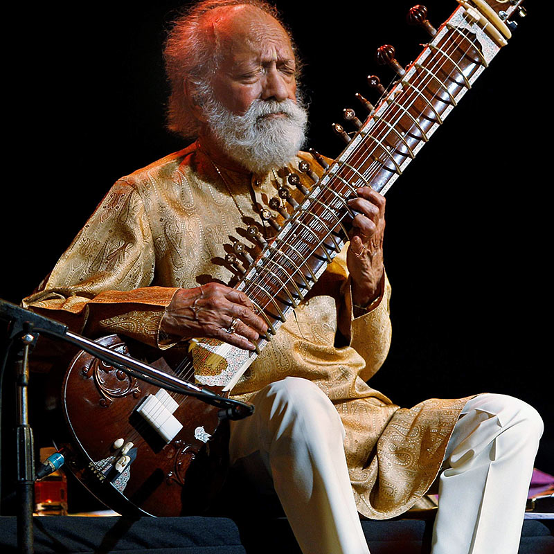 Этнический инструмент ситар