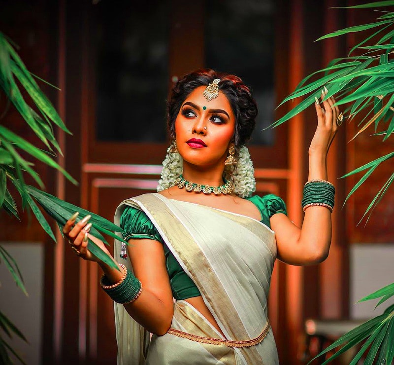 15 фактов о сари