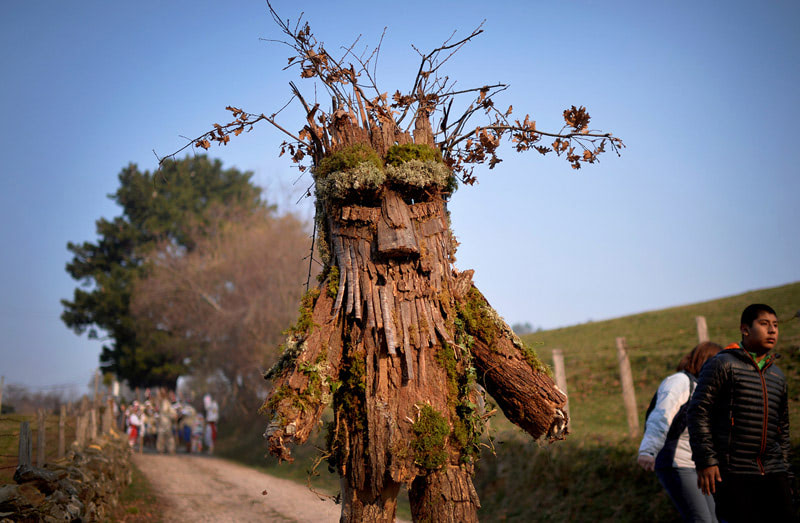 Фестиваль Виханера в январе