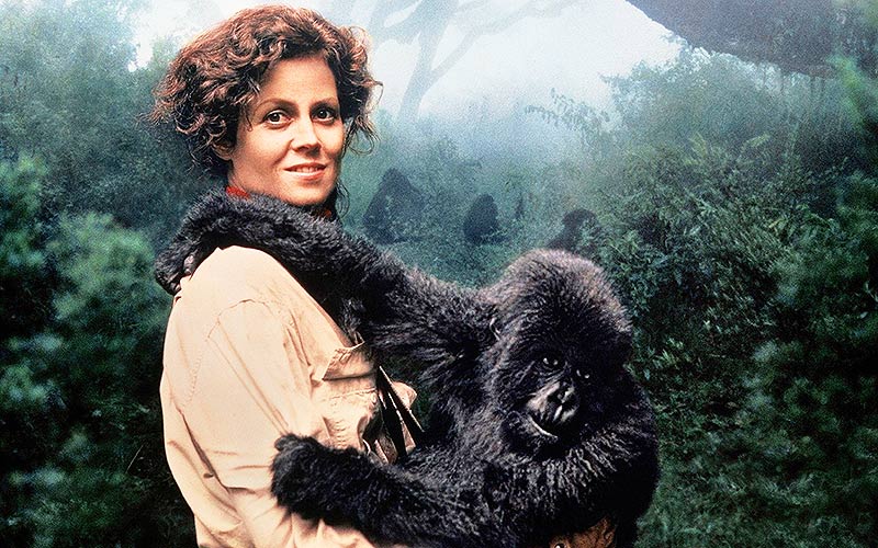 фильмы об ученых