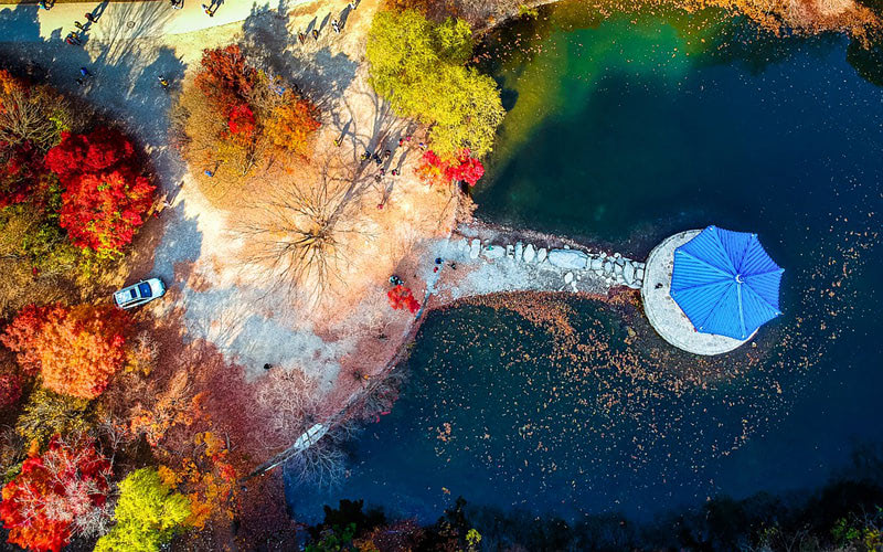 Фото дронов — осенний парк