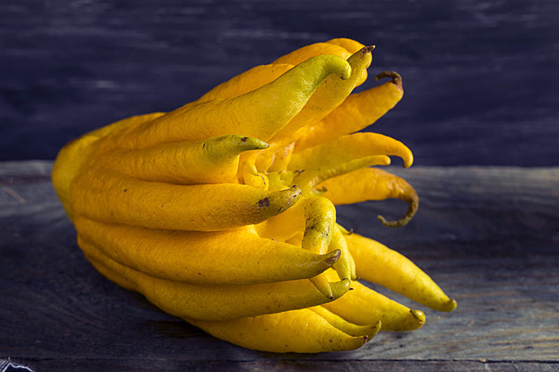 Тропические фрукты Индии — Цитрон