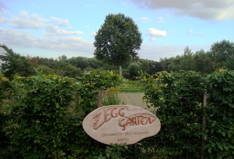 Сад хиппи коммуны ZEGG