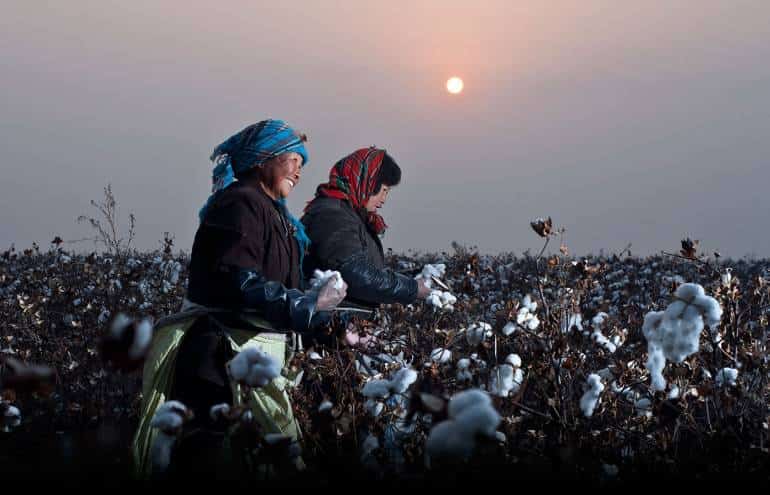 Натуральный хлопок