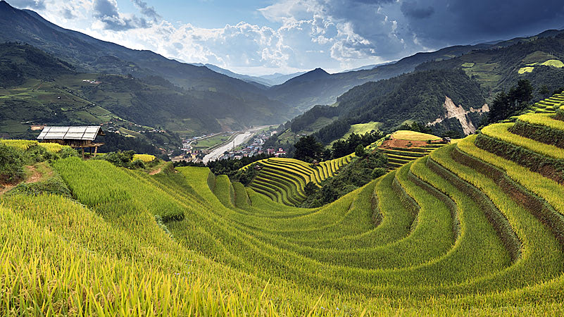 Вьетнам — дружелюбная страна