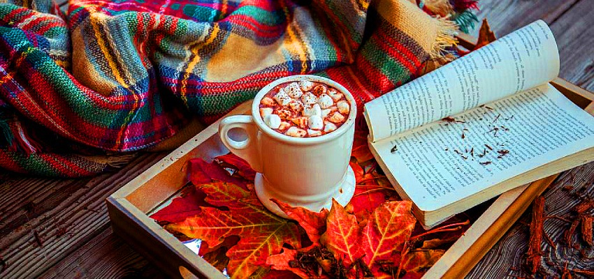 Хюгге датский