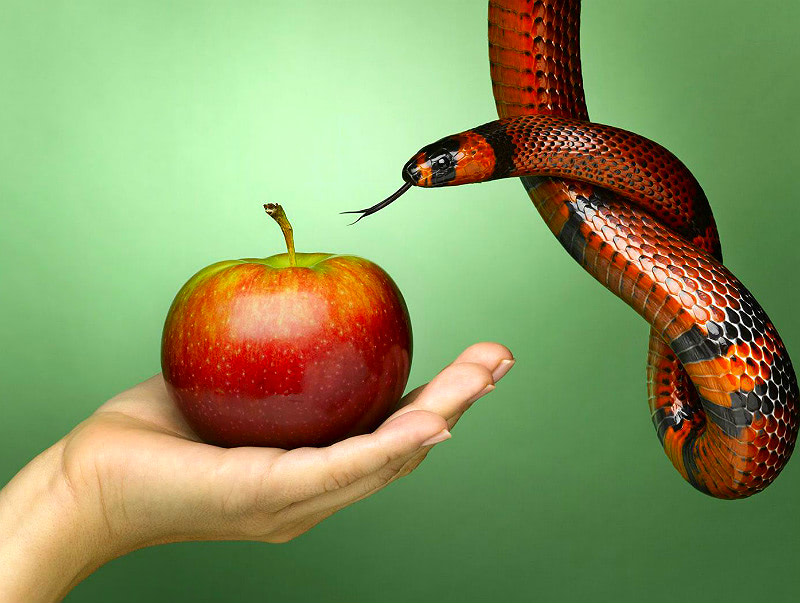 Майя и самадхи