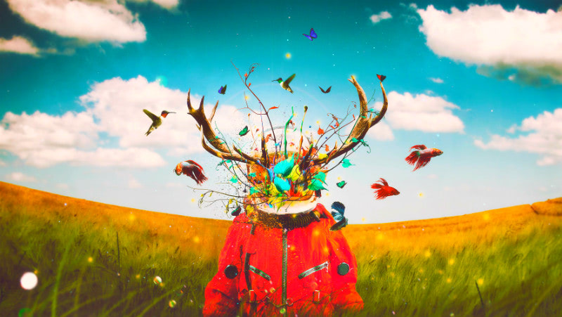 Иллюзия Майя