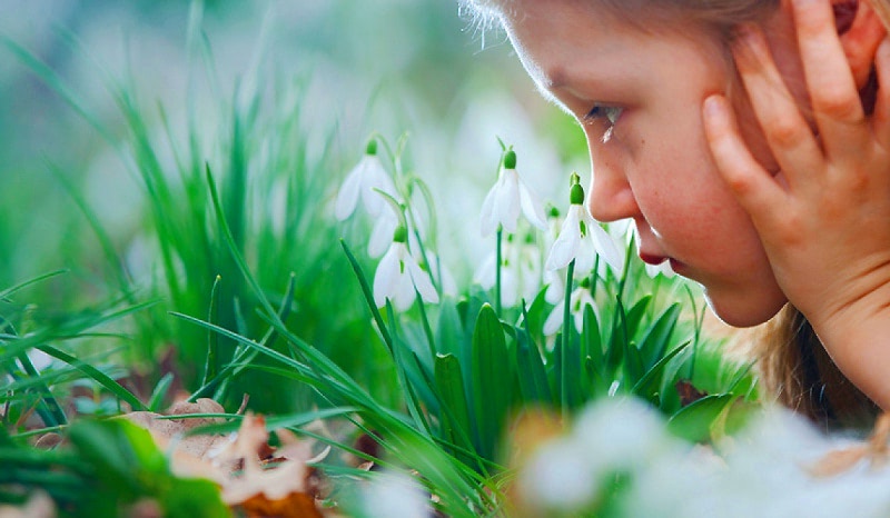 Перевод Имболк