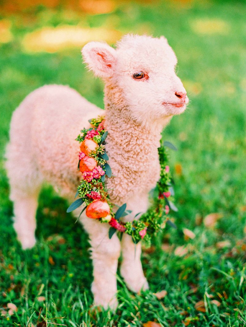 Перевод Имболк