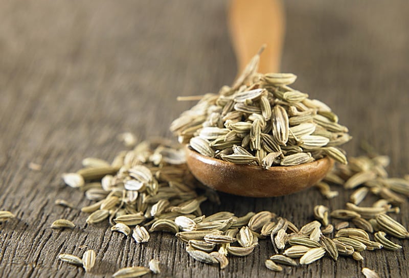 Индийская специя тмин