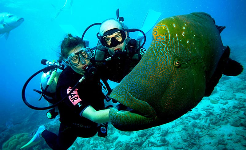 Кадмат индийский остров