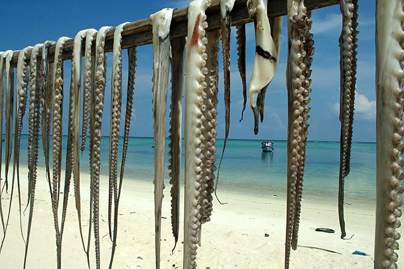 Миникой индийский остров