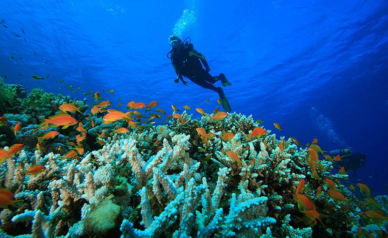 Кальпени индийский остров