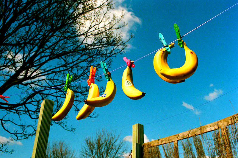 Схема 16 8 и интервальная диета