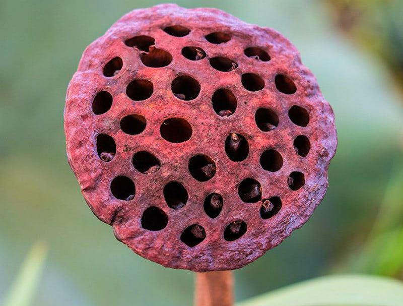 Советы, чтобы победить страх