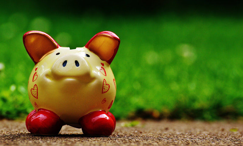 Свиньи — символ 2019 года