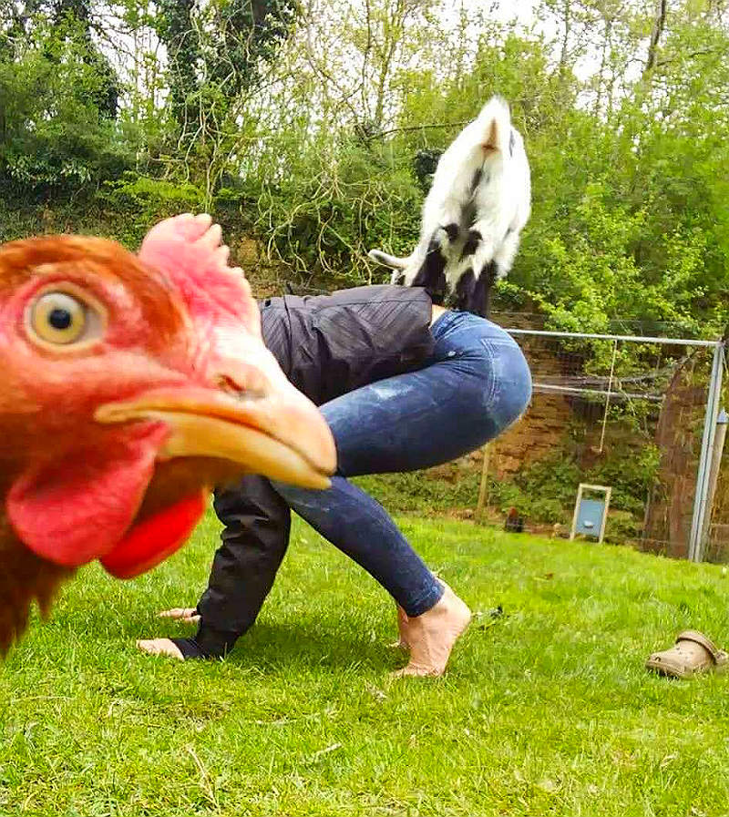 Йога с животными