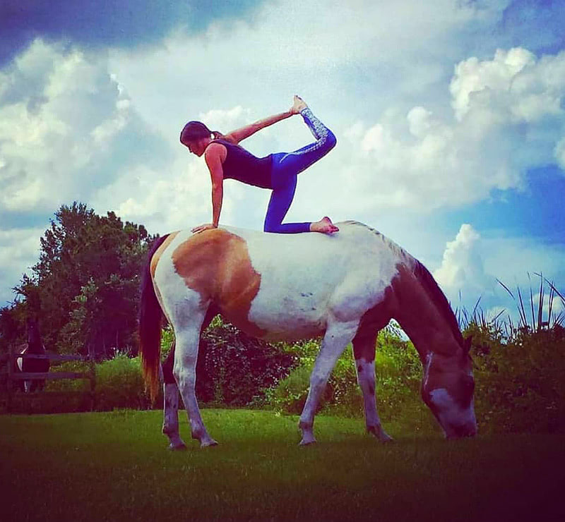 Йога с лошадьми