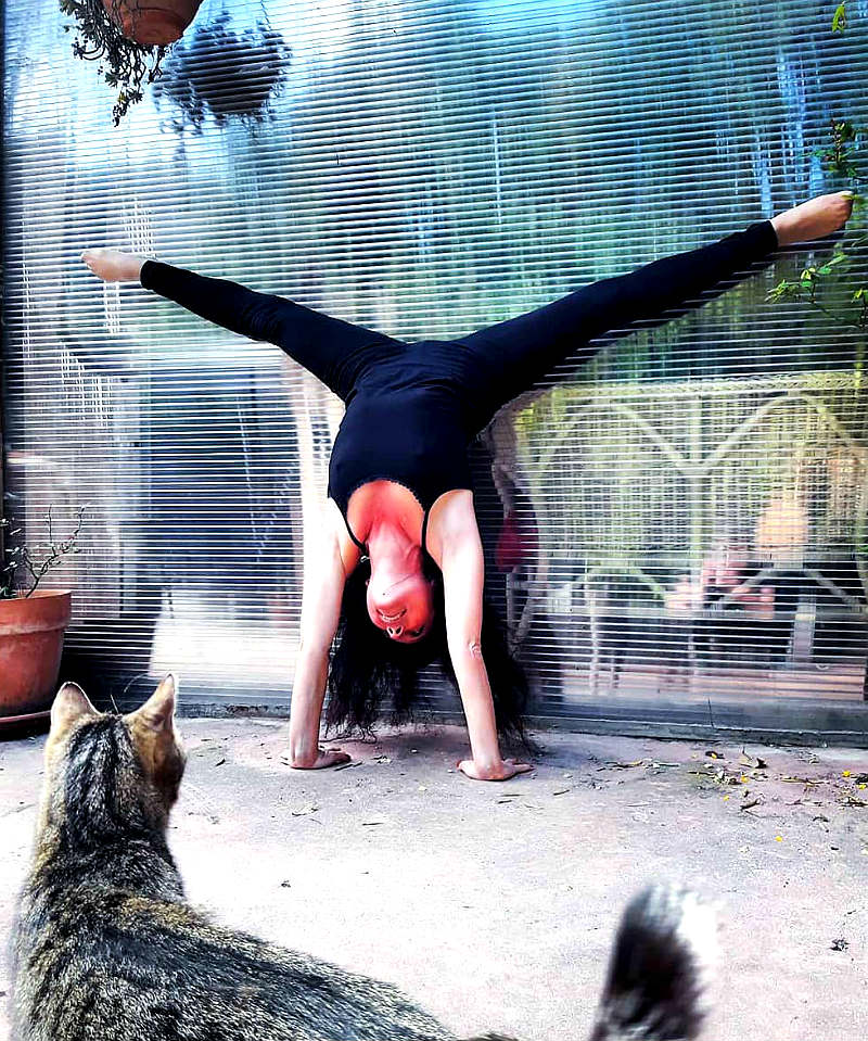 Йога и питомцы