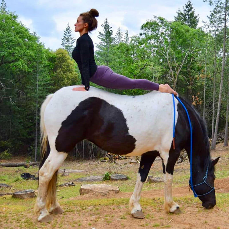 Йога и лошади