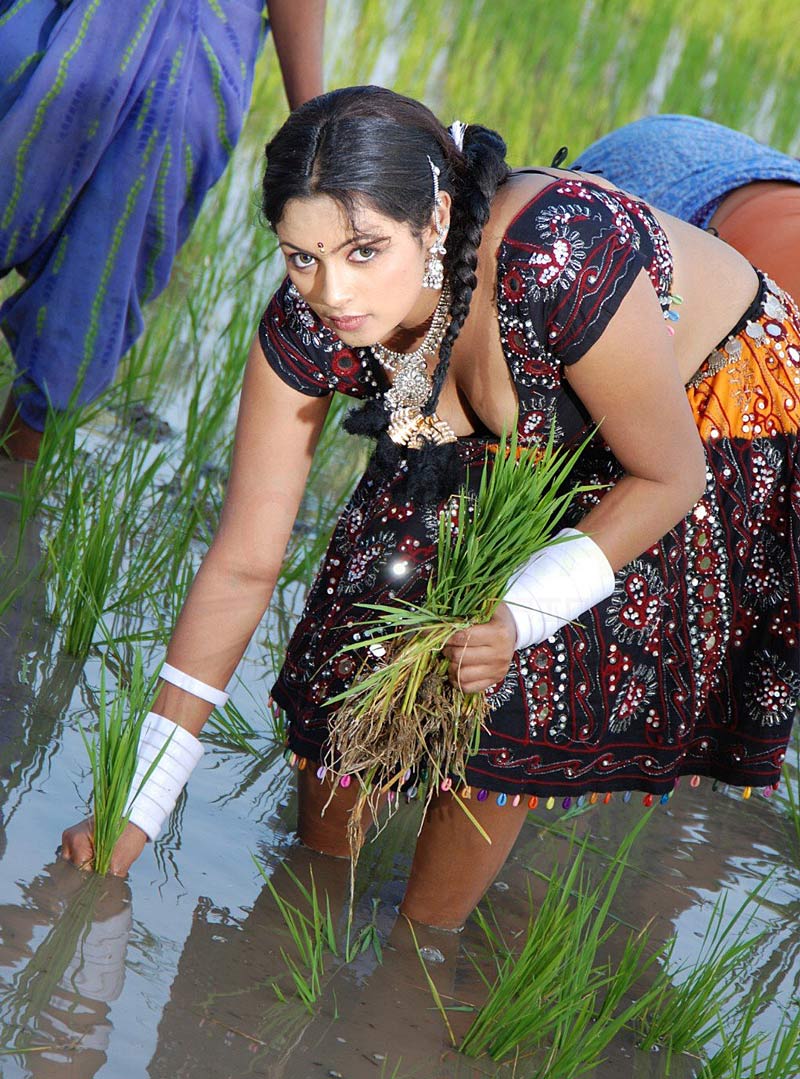 Каста шудры в кино