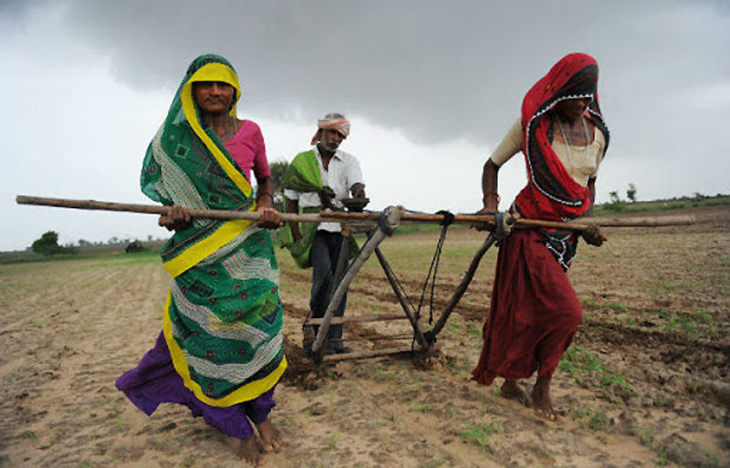 Шудры — земледельцы