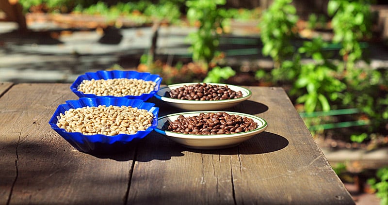 Два сорта индийского кофе