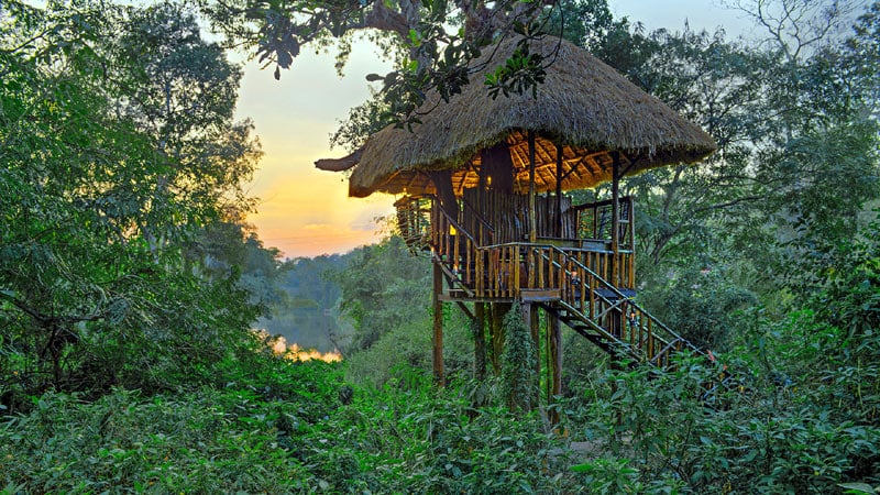 Кофейная плантация в Индии