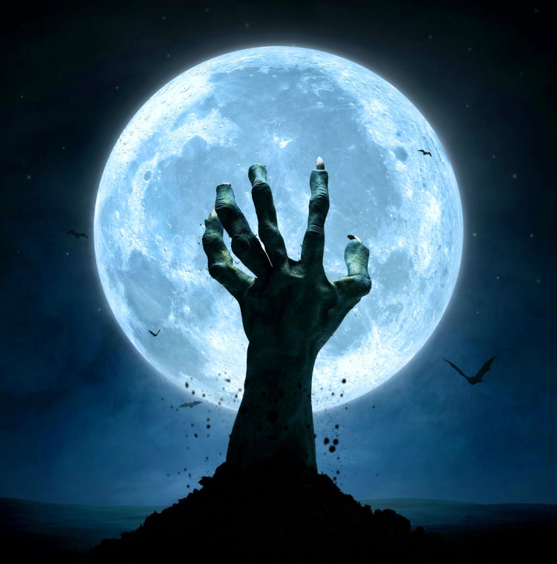 Что можно в коридор зимний 2021