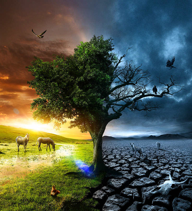 Коронавирус и природа